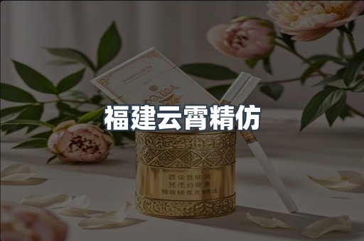 福建云霄精仿